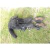 Image 4 : GORILLA APE MONKEY KING KONG FULL BODY COSTUME SUIT WITH FEET