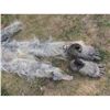 Image 3 : BIG GOOT YETI ABOMINABLE SNOWMAN SASQUACH CREATURE COSTUME