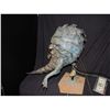 Image 2 : ANIMATRONIC ALIEN SHRIMP CREATURE PUPPET WITH CABLES INTACT