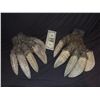 Image 1 : ALIEN CREATURE SUIT HANDS WITH HUGE CLAWS WEARABLE MATCHED PAIR FROM UNKNOWN PRODUCTION