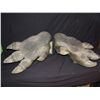 Image 2 : ALIEN CREATURE SUIT FEET WITH HUGE CLAWS WEARABLE MATCHED PAIR FROM UNKNOWN PRODUCTION