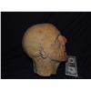 Image 3 : ROTTEN ZOMBIE MUMMY SEVERED HEAD FROM UNKNOWN PRODUCTION