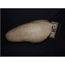 SILICONE THIGH WITH HAND PUNCHED HAIR