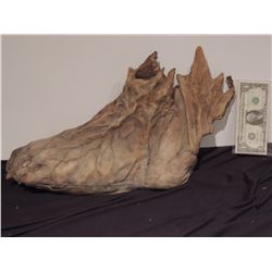 ALIEN CREATURE SUIT COSTUME FOOT NO RESERVE!