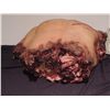 Image 1 : TRUE BLOOD VAMPIRE DEMON WEREWOLF VICTIM DRAWN AND QUARTERED