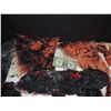 Image 3 : TRUE BLOOD HUGE LOT OF SCREEN USED BURNT VAMPIRE SKIN