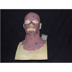 TRUE BLOOD BURNT VAMPIRE MAKE UP MAP ON LIFE CAST