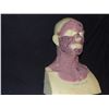 Image 2 : TRUE BLOOD BURNT VAMPIRE MAKE UP MAP ON LIFE CAST
