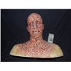 Image 1 : TRUE BLOOD HERO SILICONE HEALING FROM BEING BURNT VAMPIRE FULL HEAD MAKE UP ON LIFE CAST
