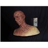 Image 2 : TRUE BLOOD HERO SILICONE HEALING FROM BEING BURNT VAMPIRE FULL HEAD MAKE UP ON LIFE CAST