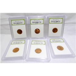 Lot-5 Graded Lincoln Cents-1960,64,64-D,65,69-D,73