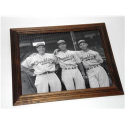 Joe Dimaggio Brooklyn Dodgers photo