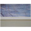 Image 2 : Harry C. Adamson Framed Signed Print