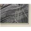 Image 2 : Signed Charles Frace "Double Trouble"