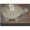 Image 1 : CONCRETE - TURTLE