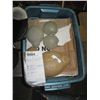 Image 1 : CONCRETE - BOX ASSORTED SHELLS & LADY BUGS