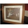 Image 1 : FRAMED L E PRINT - "DEFIANCE - COUGAR" REAL  WOOD FRAMED GORDON PYNN