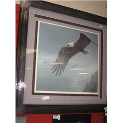 FRAMED LE PRINT  ON THE WING - BALD EAGLE