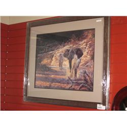 FRAMED L E PRINT "SHADES OF SAMBURU" - ANDREW KISS ANDREW KISS