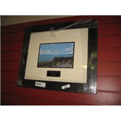 FRAMED PRINT "GREAT NORTHERN WHITE ROCK MAX JACQUIARD