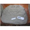 Image 1 : CONCRETE - PET MEMORIAL STONE