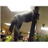 Image 1 : REAR END OF A HORSE