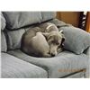 Image 2 : UPHOLSTERED COUCH