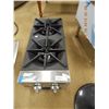 ANVIL COMMERCIAL 2 BURNER GAS RANGE