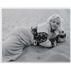 Image 1 : Marilyn Monroe: George Barris
