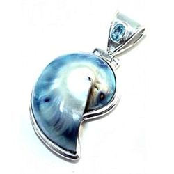 Nautilus Shell Pendant