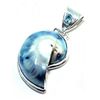 Image 1 : Nautilus Shell Pendant