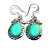 Image 1 : Turquoise Earrings