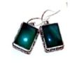 Image 1 : Onyx Earrings