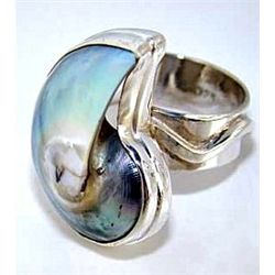 Silver and Nautilus Shell Ring