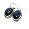 Image 1 : Lapis Earrings