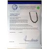 Image 3 : TAHITIAN CULTURED PEARL NECKLACE