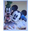 Image 1 : Mickey Mouse an icon for The Walt Disney Company.
