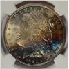 Image 2 : 1921 MORGAN DOLLAR NGC MS63 * TONED