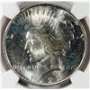 Image 2 : 1922 D PEACE DOLLAR NGC MS 63 BLAST WHITE