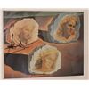 Image 1 : DALI - HAND SIGNED LITHOGRAPH