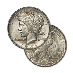 Peace Silver Dollar Coin - Random date - Average Circulated