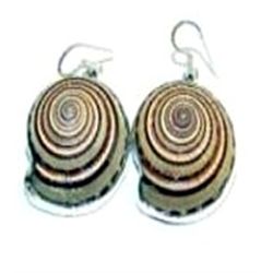 Shell Earrings