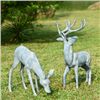 Image 1 : DEER GARDEN SCULPTURES - SET OF 2