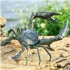 Image 1 : GARDEN CRAB SCULPTURE