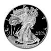 Image 1 : Proof Silver Eagle 1993-P