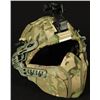 Image 1 : MSA  ACH Helmet & MTEK Predator G4 Facial Armor