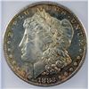 Image 2 : 1882 S MORGAN DOLLAR ICG MS 63L WHITE + COLOR