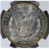 Image 3 : 1883 O MORGAN DOLLAR NGC MS 65+ BLAST WHITE