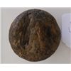 Image 2 : Oak Game Ball