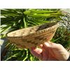 Image 8 : Pima Basket and San Juan Pot